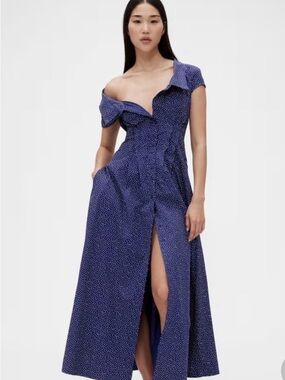 Zac Posen for Gap Studio Navy Polka Dot Poplin Shirtdress